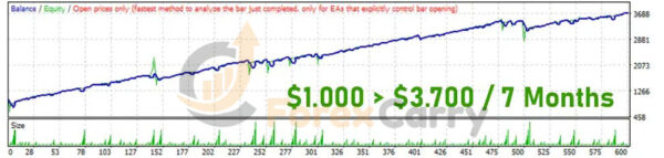 Magneto EA Backtest Results