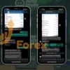 AutoProfit FX EA Results