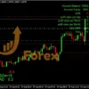 King Hedging Forex EA Results