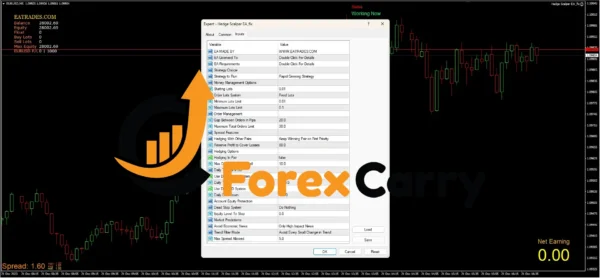 Forex Hedge Scalper EA Settings