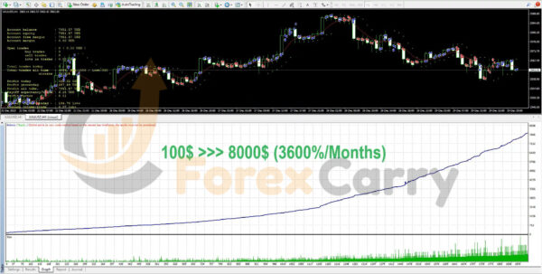 Bushra Gold EA Backtest Results