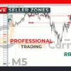 TPSpro RFI Levels MT4