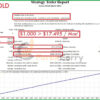 IS VIP One EA MT4 Backtest Results