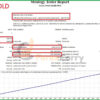 IS VIP One EA MT4 Backtest Results