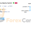 Big Forex Players MT4