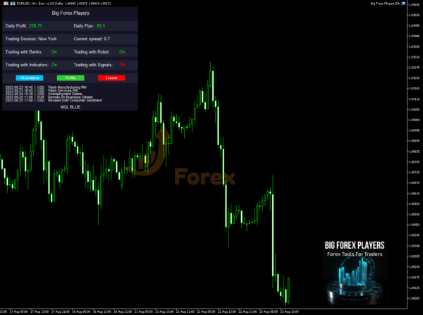 Big Forex Players MT4 Backtest Results