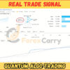 Quantum Algo Trading MT4