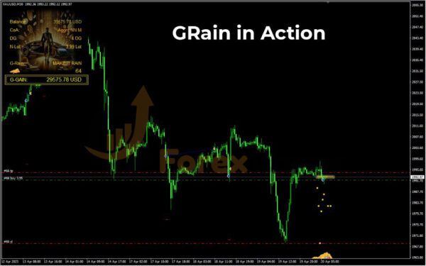 GRain EA MT4 Results