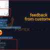 Quantum Algo Trading MT4 Reviews